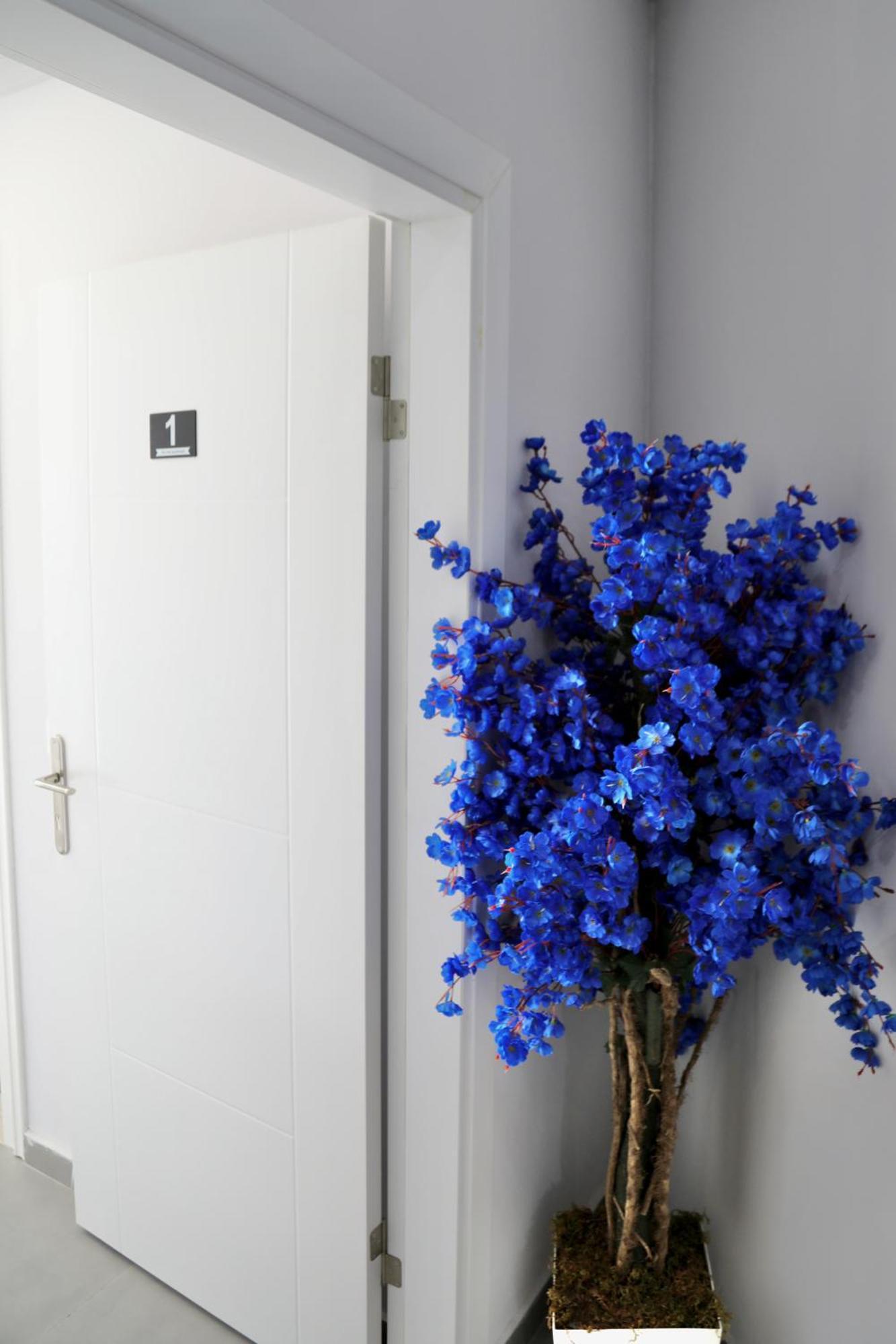 Apartamento Sea View